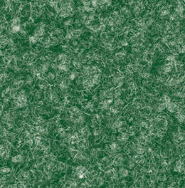 奧薩(青)
 奧薩(青)