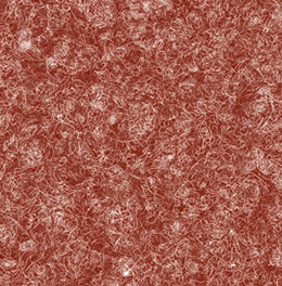 奧薩(紅)
 奧薩(紅)